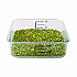 SpaceSaver Square Containers, 2 qt, 8.8 x 8.75 x 2.7, Clear, Plastic (6302CLE)