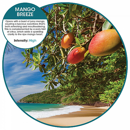Fusion Metered Aerosols, Mango Breeze, 12/Carton (MA12MG)