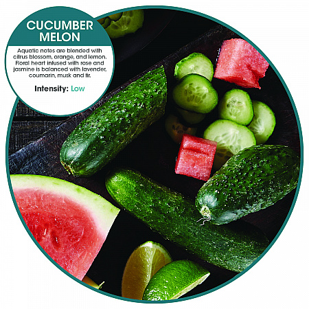 ourfresh Airfreshener, Cucumber Melon, 8/Box (OFB48CMBX)