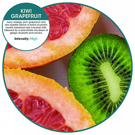 ourfresh Airfreshener, Kiwi Grapefruit, 8/Box (OFB48KGBX)