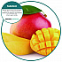 ourfresh Airfreshener, Mango, 8/Box (OFB48MGBX)