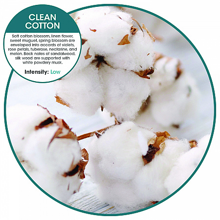 ourfreshE Refills, Cotton Blossom, 6/Box (OFE36CBBX)