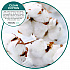 ourfreshE Refills, Cotton Blossom, 6/Box (OFE36CBBX)