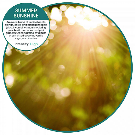 ourfreshE Refills, Summer Sunshine, 6/Box (OFE36SSBX)