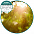 ourfreshE Refills, Summer Sunshine, 6/Box (OFE36SSBX)