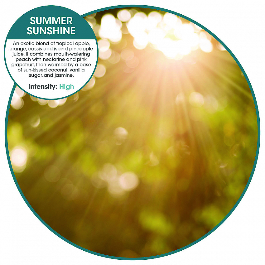 ourfreshE Refills, Summer Sunshine, 6/Box (OFE36SSBX)
