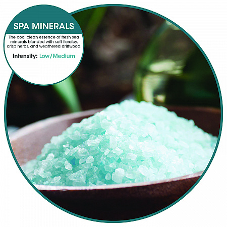 ourfreshE Refills, Spa Minerals, 6/Box (OFE36SMBX)