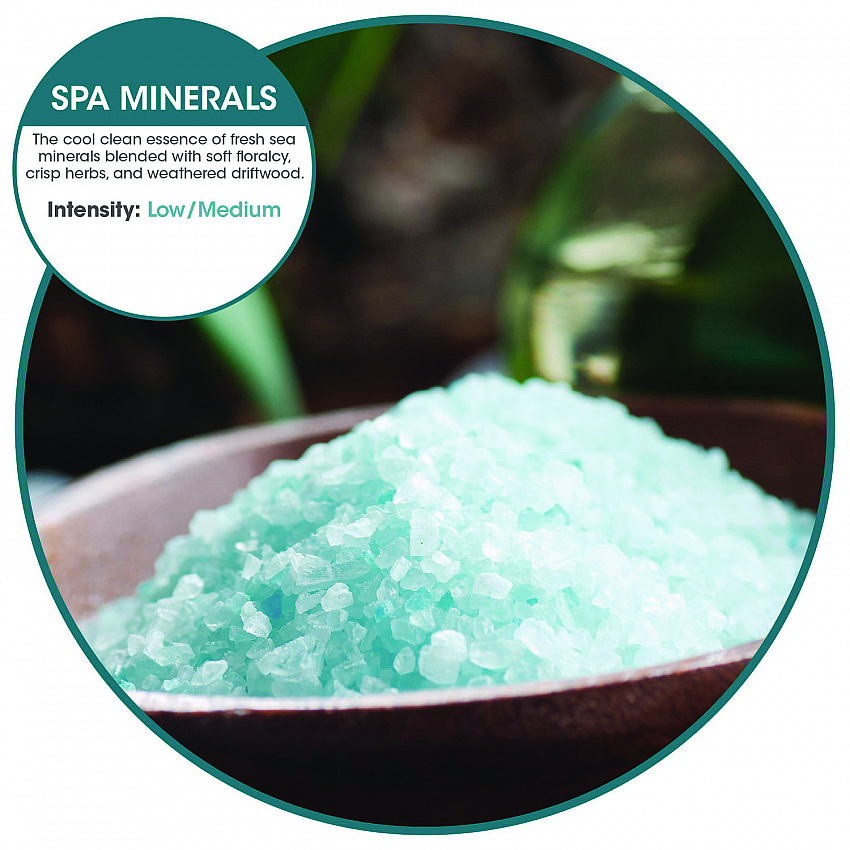 ourfreshE Refills, Spa Minerals, 6/Box (OFE36SMBX)
