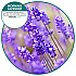ourfreshE Refills, Morning Lavender, 6/Box (OFE36MLBX)