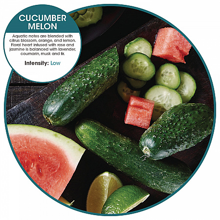 myfresh Refills, Cucumber Melon, 36/Carton (MYF36CMCT)