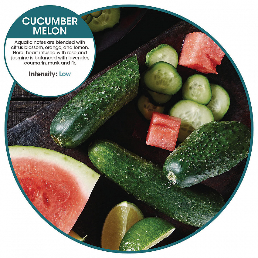 myfresh Refills, Cucumber Melon, 36/Carton (MYF36CMCT)