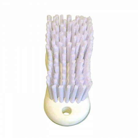 Scrub Brush, White Polypropylene Bristles, 6