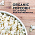 Himalayan Pink Salt Organic Popcorn, Salt, 0.46 oz Bag, 24/Carton (22001053)