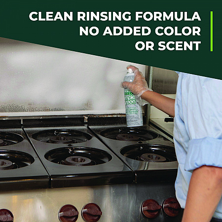 Foaming Crystal Industrial Cleaner and Degreaser, 20 oz Aerosol Spray, 12/Carton (19010)