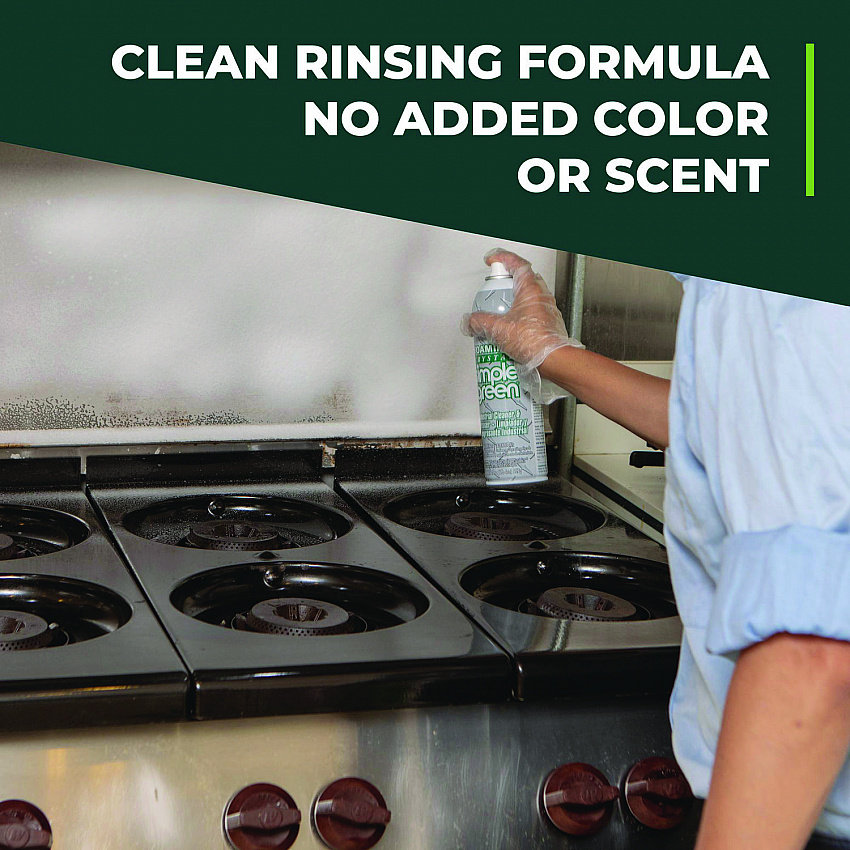 Foaming Crystal Industrial Cleaner and Degreaser, 20 oz Aerosol Spray, 12/Carton (19010)