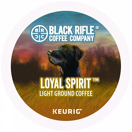 Loyal Spirit Coffee K-Cups, 88/Carton (0571CT)
