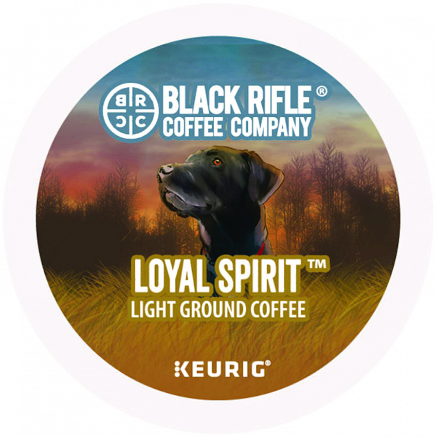 Loyal Spirit Coffee K-Cups, 88/Carton (0571CT)