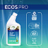 Toilet Bowl Cleaner, Fresh Cedar Scent, 24 oz Squeeze Bottle, 6/Carton (PL97036CT)