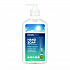Liquid Hand Soap, Free and Clear Scent, 17 oz, 6/Carton (PL96636CT)