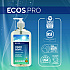 Liquid Hand Soap, Free and Clear Scent, 17 oz, 6/Carton (PL96636CT)
