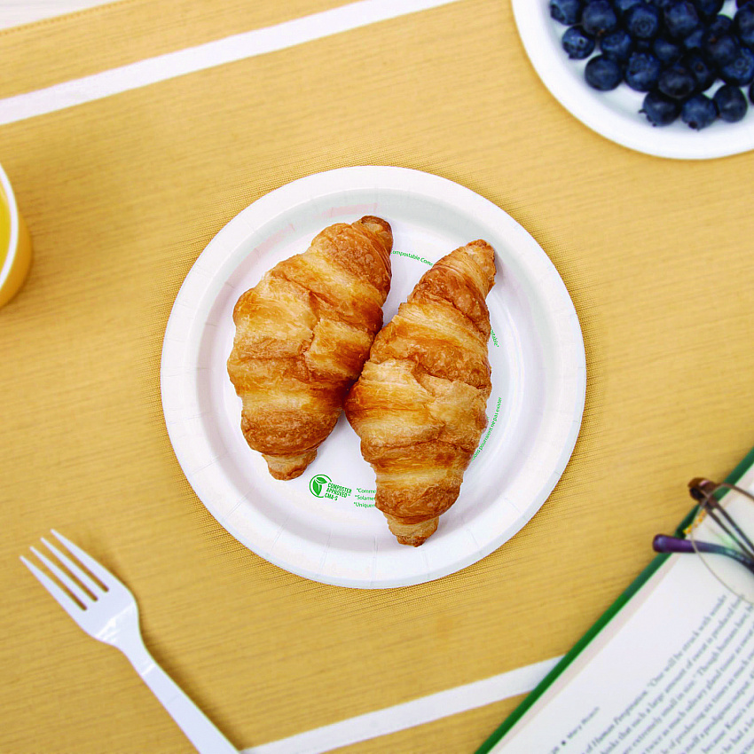 Compostable Paper Dinnerware, ProPlanet Seal, Plate, 6" dia, White, 500/Carton (OFMP6PLANET)