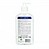 Liquid Hand Soap, Lavender Scent, 17 oz, 6/Carton (PL96656CT)