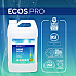 Liquid Hand Soap, Free and Clear, 1 gal, 4/Carton (PL966304CT)