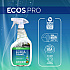 Parsley Plus All-Purpose Kitchen and Bathroom Cleaner, Parsely Scent, 32 oz Spray Bottle, 6/Carton (PL97466CT)