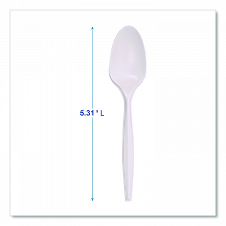 Mediumweight Polypropylene Cutlery, Spoon, 5.31