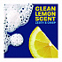 Platinum Liquid Dish Detergent, Clean Lemon Scent, 24.3 oz EZ-Squeeze Bottle (11819)