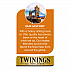 Probiotics+ Herbal Lemon and Ginger Tea, 24/Box (TNA23050)