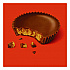 Snack Size Peanut Butter Cups, 19.5 oz Bag, 2 Bags/Carton (60004058)