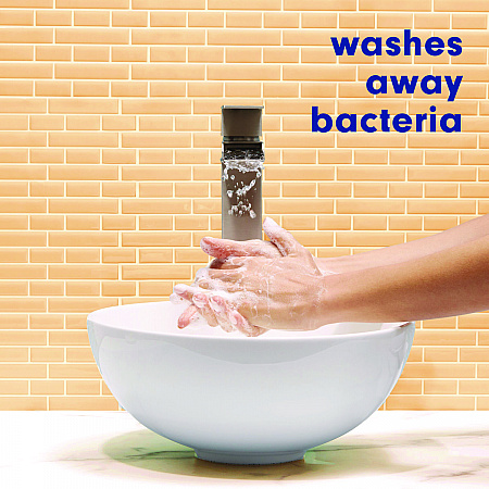 Antibacterial Hand Soap, Citrus Scent, 11.25 oz (45096EA)