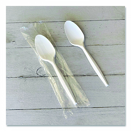 Mediumweight Wrapped Polypropylene Cutlery, Spoon, 5.31