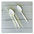Mediumweight Wrapped Polypropylene Cutlery, Spoon, 5.31