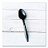 Mediumweight Polypropylene Cutlery, Spoon, Plastic, Black, 1,000/Carton (SPOONBLPP)