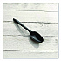 Mediumweight Polypropylene Cutlery, Spoon, Plastic, Black, 1,000/Carton (SPOONBLPP)