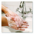 Antibacterial Gold Liquid Hand Soap Refill for Versa Dispenser, Floral Scent, 15 oz, 6/Carton (98561)