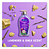 Antibacterial Hand Soap, Lavender and Shea Butter Scent, 11.25 oz (US07058A)