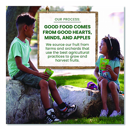 Fruit on the Go, (10) Apple/(10) Apple Cinnamon, 3.2 oz Pouch, 20/Box (24331019)