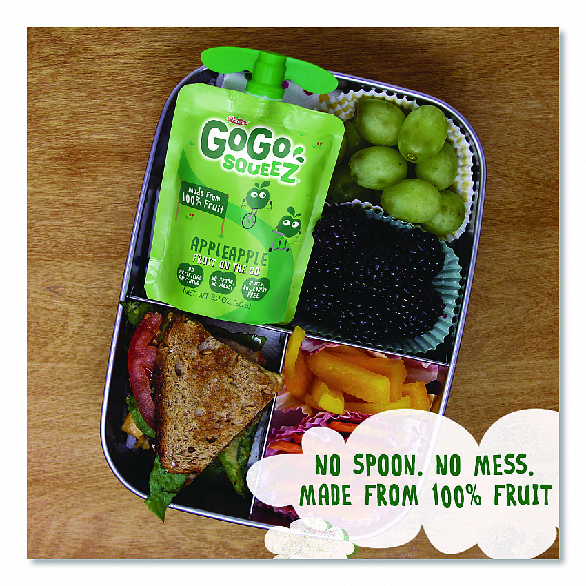 Fruit on the Go, (10) Apple/(10) Apple Cinnamon, 3.2 oz Pouch, 20/Box (24331019)