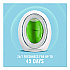 smallSPACES, Gain Original, 0.25 oz, 4/Pack (2573)