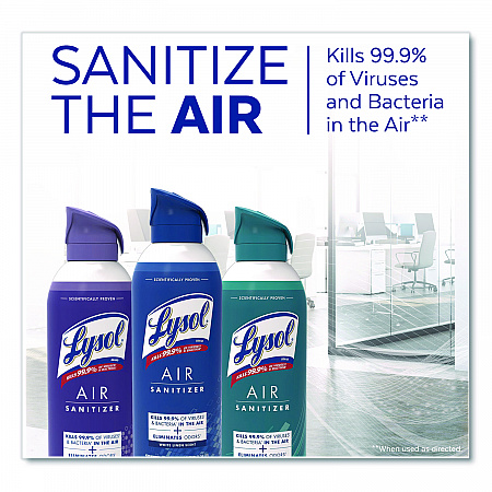 Air Sanitizer Spray, Simple Fresh Scent, 10 oz Aerosol Spray (1920099350)