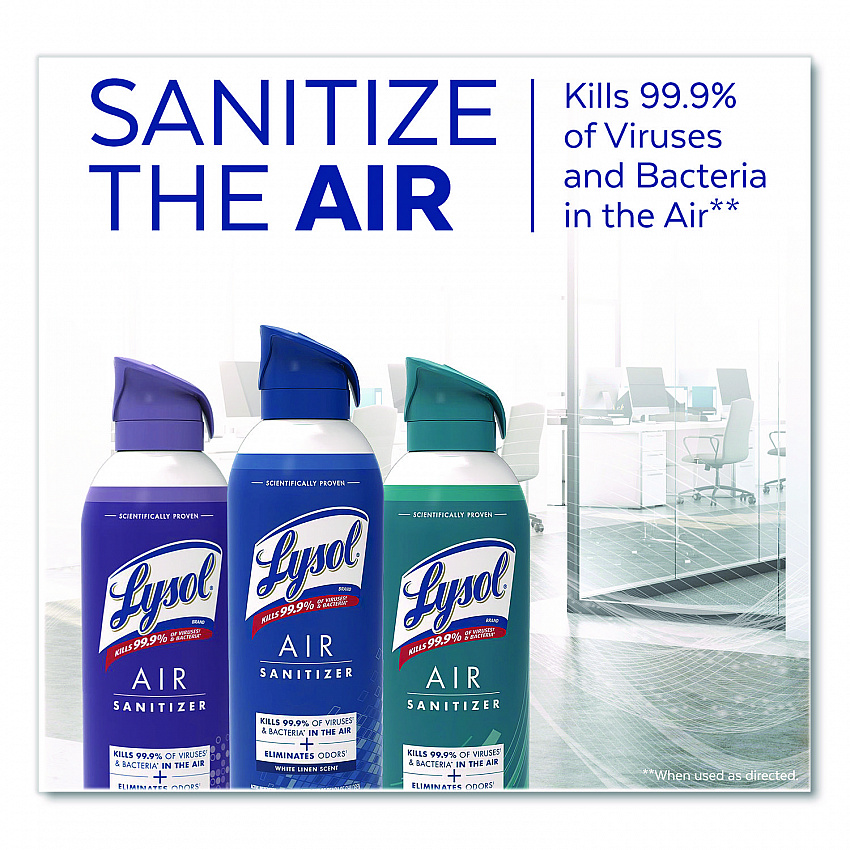 Air Sanitizer Spray, Simple Fresh Scent, 10 oz Aerosol Spray (1920099350)