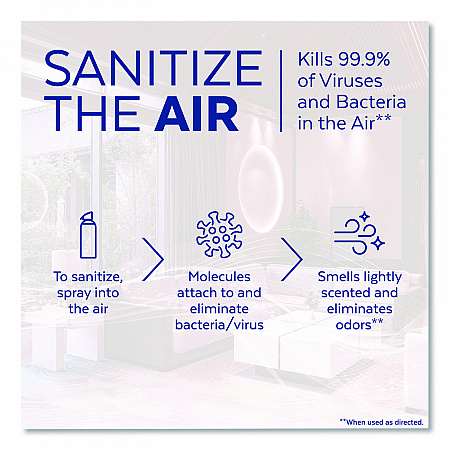 Air Sanitizer Spray, Simple Fresh Scent, 10 oz Aerosol Spray (1920099350)