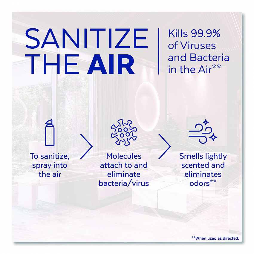 Air Sanitizer Spray, Simple Fresh Scent, 10 oz Aerosol Spray (1920099350)