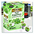 Tea K-Cups, Pure Peppermint, 0.11 oz, 24/Box (TNA85813)