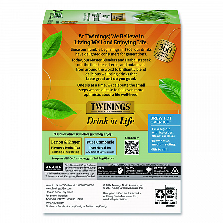 Tea K-Cups, Pure Peppermint, 0.11 oz, 24/Box (TNA85813)