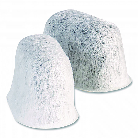 Replacement Charcoal Water Filter Cartridge, 2/Pack (2407403)