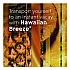Plugin Scented Oil Refill, Hawaiian Breeze, 0.67 oz, 10/Pack (353728)